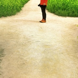 dailyPhoto31