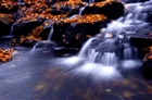 dailyPhoto13