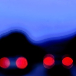dailyPhoto2