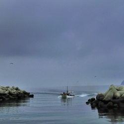 dailyPhoto27