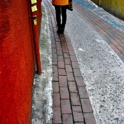 dailyPhoto15