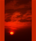dailyPhoto10