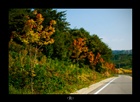 dailyPhoto29