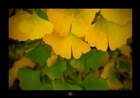 dailyPhoto2