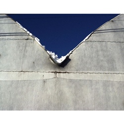 dailyPhoto14