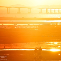 dailyPhoto19