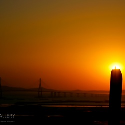 dailyPhoto34