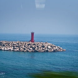 dailyPhoto15