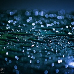 dailyPhoto40