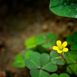 dailyPhoto25