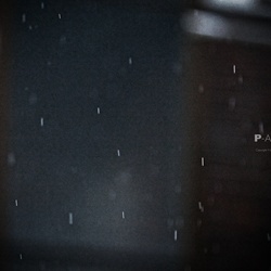 dailyPhoto38