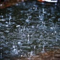 dailyPhoto37