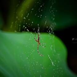 dailyPhoto32