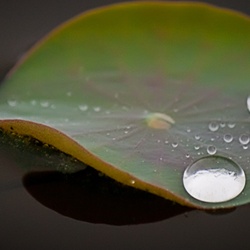 dailyPhoto30