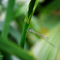 dailyPhoto19