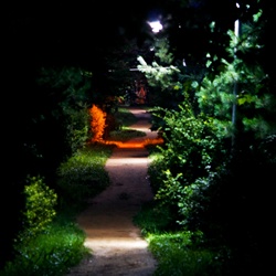 dailyPhoto28