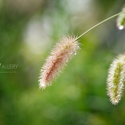 dailyPhoto7
