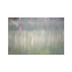 dailyPhoto15
