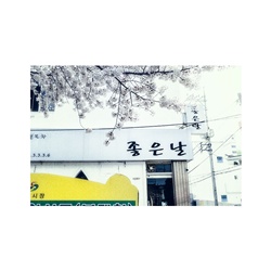 dailyPhoto10