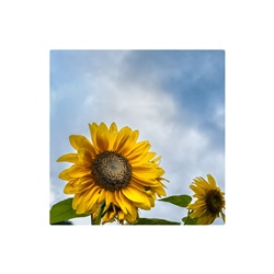 dailyPhoto3