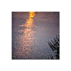 dailyPhoto19