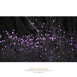 dailyPhoto9