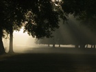 dailyPhoto35