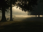 dailyPhoto33