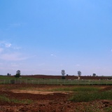 dailyPhoto7