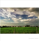 dailyPhoto15