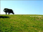 dailyPhoto21