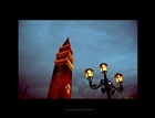 dailyPhoto19