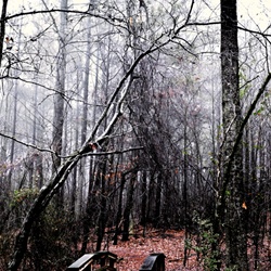 dailyPhoto11