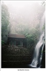 dailyPhoto40