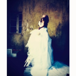 dailyPhoto38