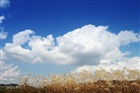 dailyPhoto4