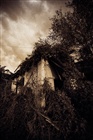 dailyPhoto10