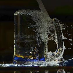 dailyPhoto11