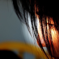 dailyPhoto38