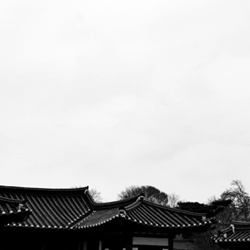 dailyPhoto13