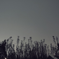 dailyPhoto15