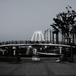 dailyPhoto23