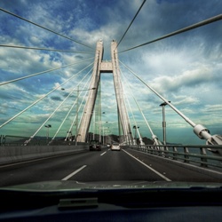 dailyPhoto9