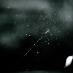 dailyPhoto28