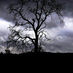 dailyPhoto27