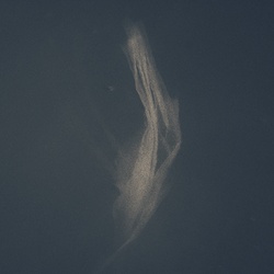 dailyPhoto8