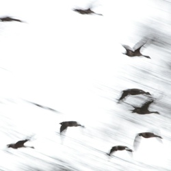 dailyPhoto3