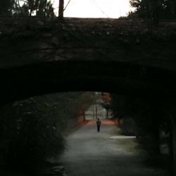 dailyPhoto30