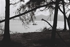 dailyPhoto18