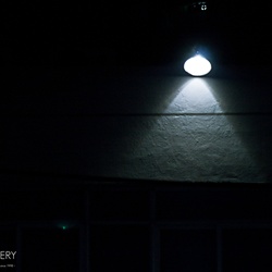 dailyPhoto35